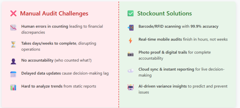 Pain Points in Traditional Stock Audits 768x347